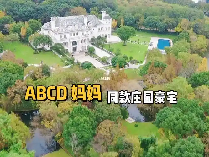 上海豪宅  #汤臣一品  #古北壹号  #上海买房  #买房攻略  #abcd妈