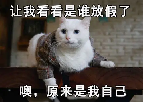 求一些能表示我终于放假了心情的表情包