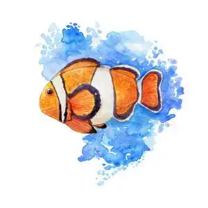 手画小丑鱼或 amphiprion 在蓝色和白色背景.