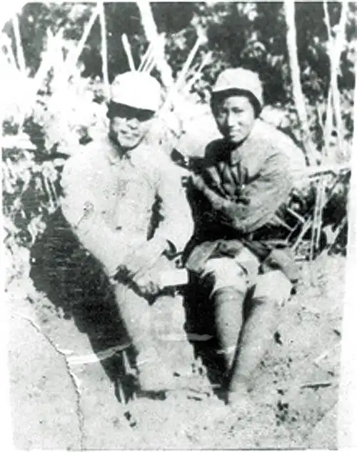 抗日名将彭雪枫和林颖的爱情故事