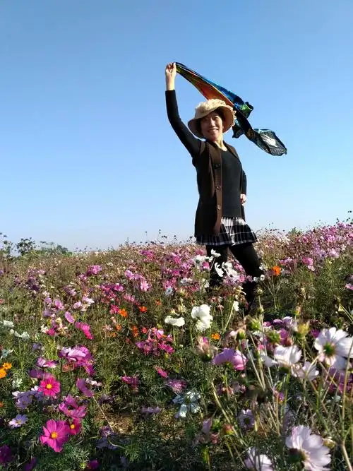 九九艳阳天.出门踏秋去!