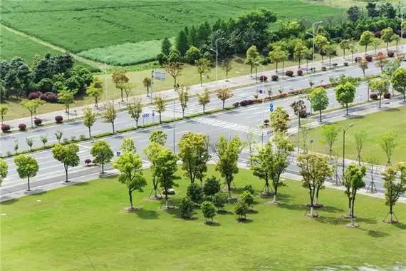 丁字路口风水讲解