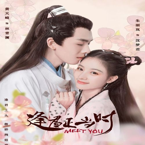 【逢君正当时】朱丽岚,黄天崎电视剧碟片dvd