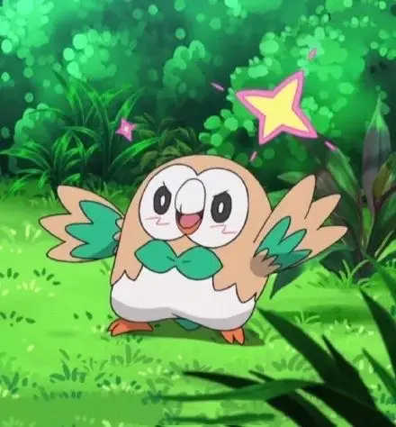 放一栋付思超的木木枭代餐楼