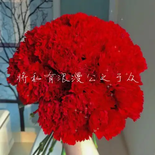 520鲜花红色康乃馨真的好绝啊