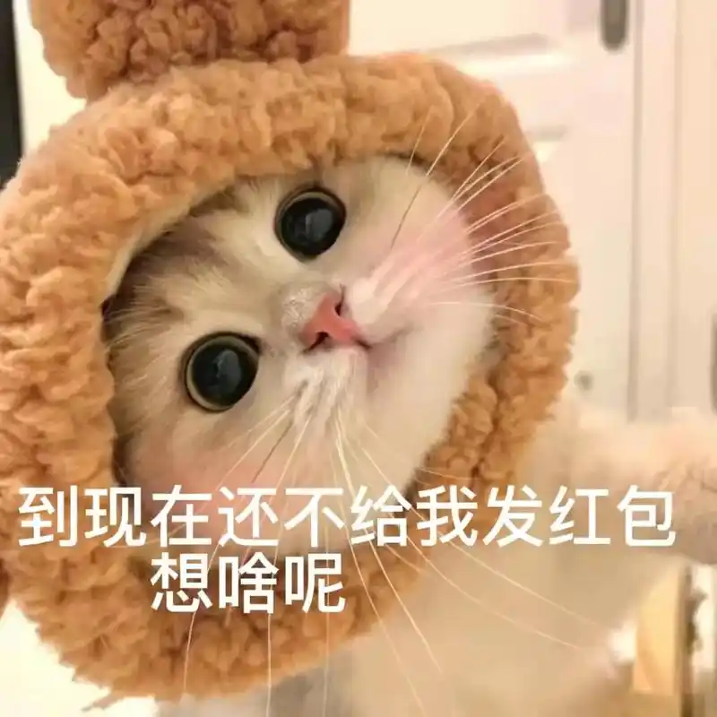 过年要红包专属表情包#艾特你想艾特的人 #表情包 #虎虎生威 - 抖音