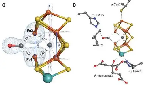 更新: femoco bind一氧化碳时的模型,图上可见一个硫跑了