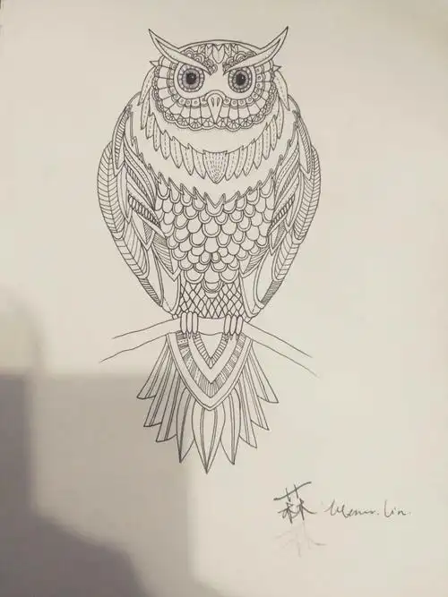 线描临摹手绘《猫头鹰》 - 简书