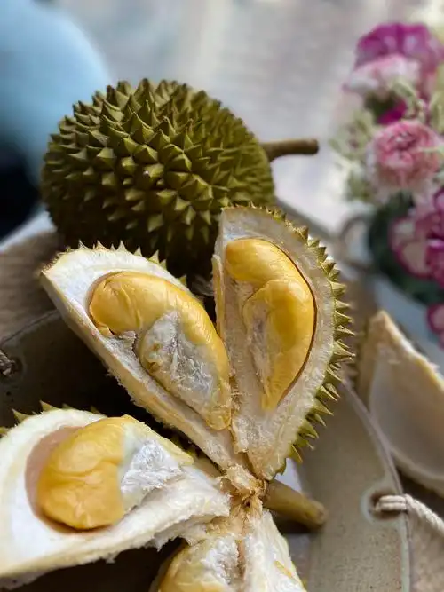 下单35天发货泰国进口托曼尼榴莲全a果小猫山王浓郁香甜新鲜榴莲带壳