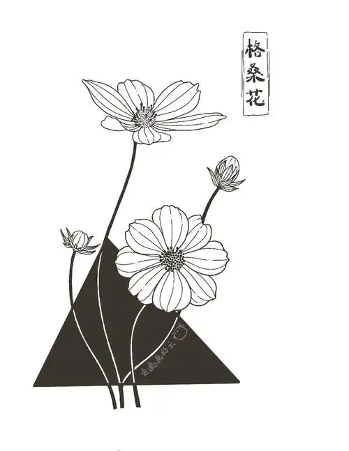 零基础线描教程详细步骤图教你画两朵格桑花