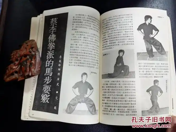 b4940 76年蔡李佛中文版第一集,真正公开蔡李佛拳术秘笈,苏金福元老演