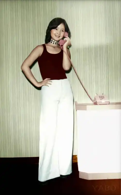 邓丽君最美修复相册