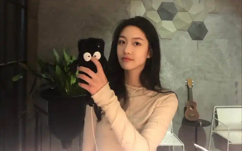 【向涵之】【三里屯姐妹】【vlog】涵之日常vlog,包饺子_哔哩哔哩 (゜