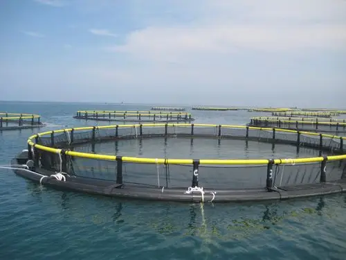 【养鱼网箱】广东养鱼网箱_湛江养鱼网箱 - 湛江海宝渔具发展有限公司