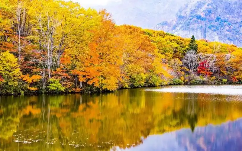 属蛇的人他们也有许多事情不是一两次就能实现的,财运滔天,职场胜利