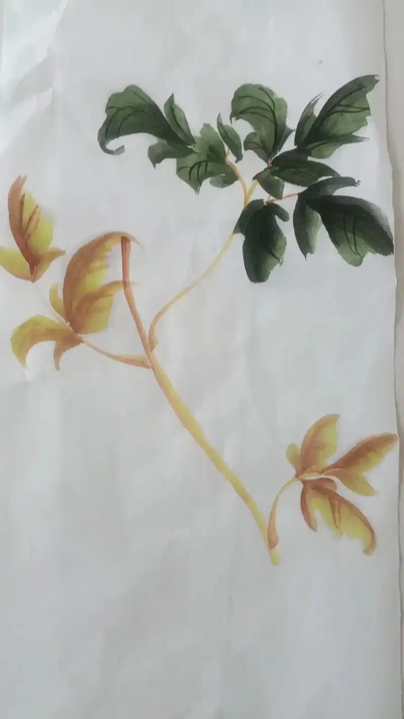 国画牡丹叶子教程来啦一份耕耘一份收获