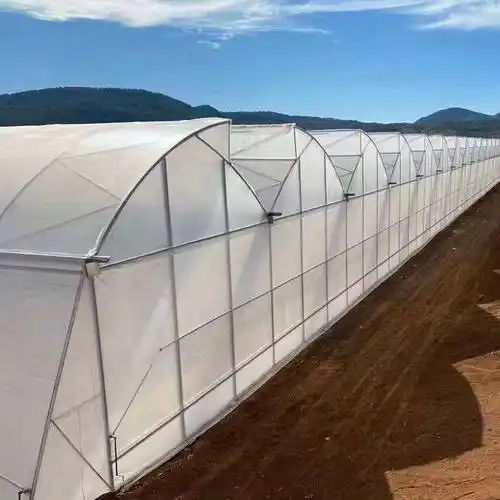锯齿形薄膜温室大棚建造特点_设计_农业_进行