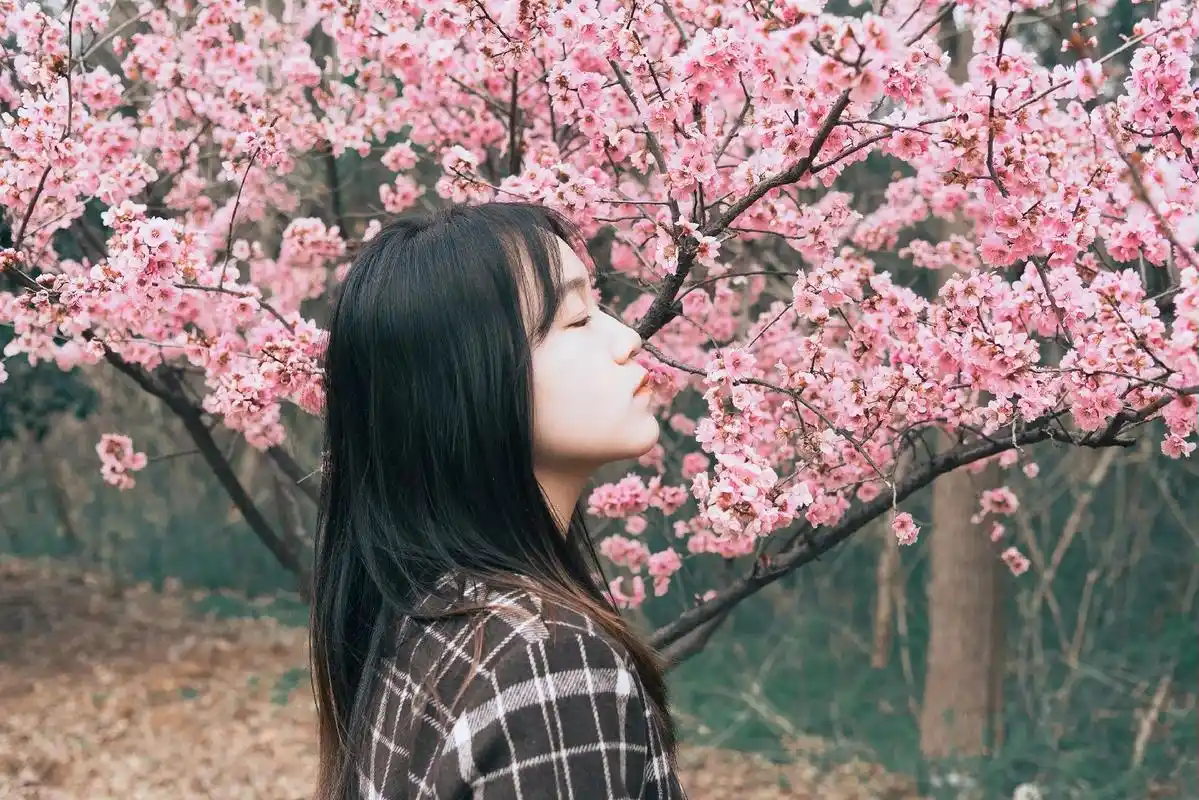 壁纸 花 桌面 1918_1280