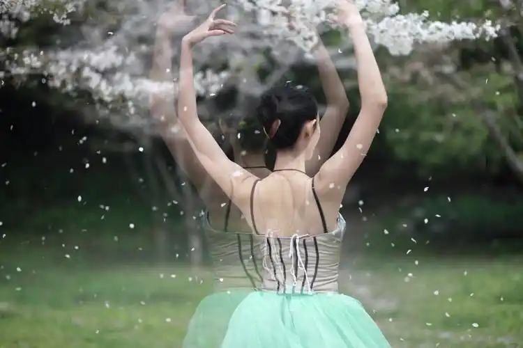 樱花舞 人像 人像 风光 生态