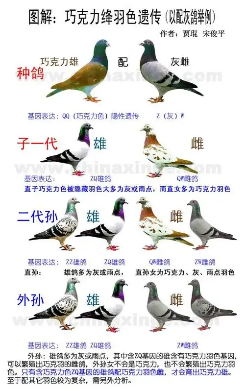 相册幕利门欣赏