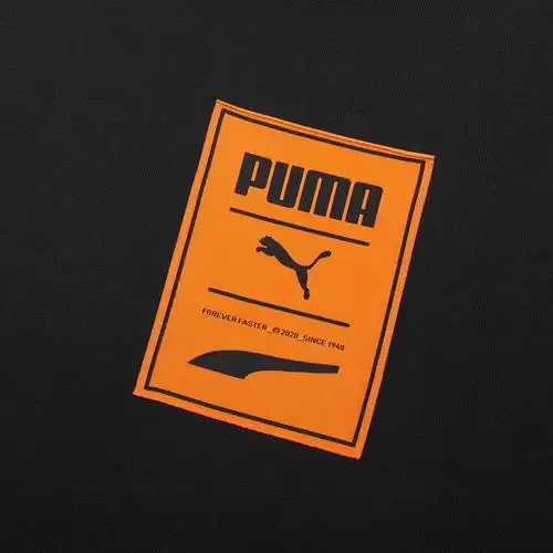 puma彪马官方正品 新款男子休闲印花连帽卫衣 597886