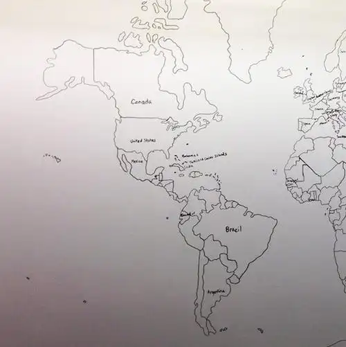 美国11岁自闭症男孩凭记忆精确绘出世界地图组图