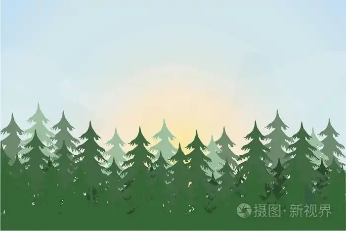杉树景观(松)林背景手绘矢量插图