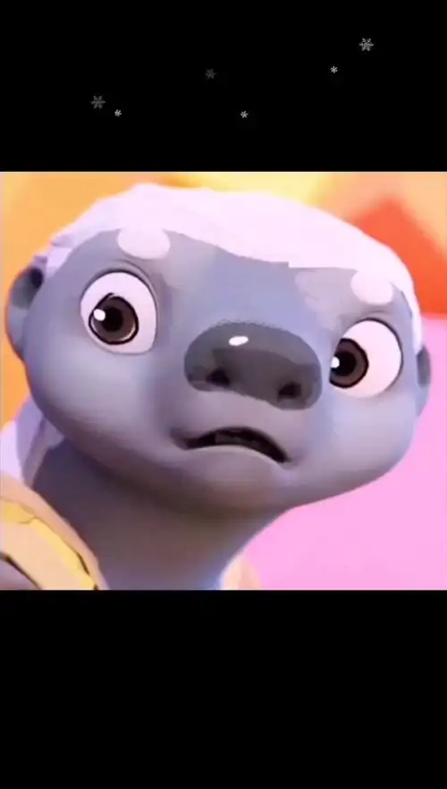 每日笑翻天平头哥4