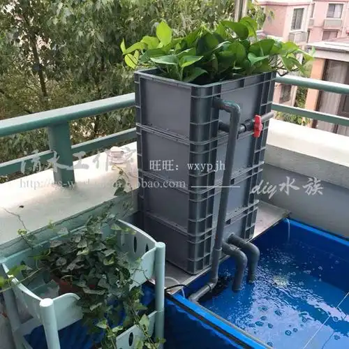 灰色b款加厚带沉淀仓 周转箱过滤箱 锦鲤金鱼鱼缸鱼池上置滴流盒