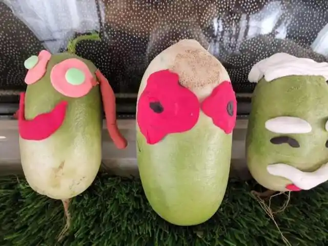 赴一场爱心萝卜的盛宴安徽阜南育新幼教自然教育生态活动