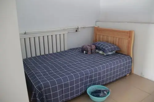 【黄河镇】区委组织部常务副部长马宗瑞到黄河镇调研乡村振兴服务队