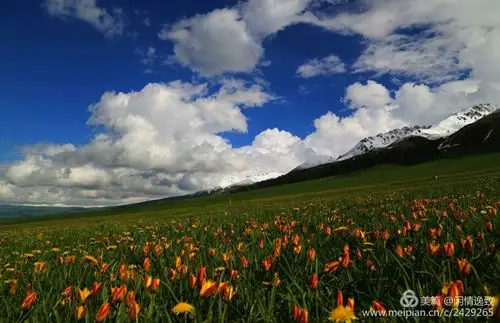 优秀的哈萨克族大草原