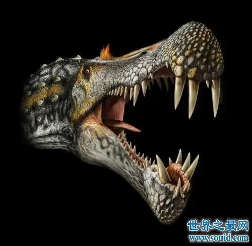 世界十大最危险的恐龙 没想到还有比它还凶猛的恐龙!
