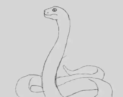 用素描画眼镜蛇的所有教程