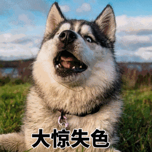 大惊失色 - 斗图表情包 - 斗图神器 - adoutu.com