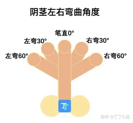 男朋友丁丁向下弯正常么影响使用么