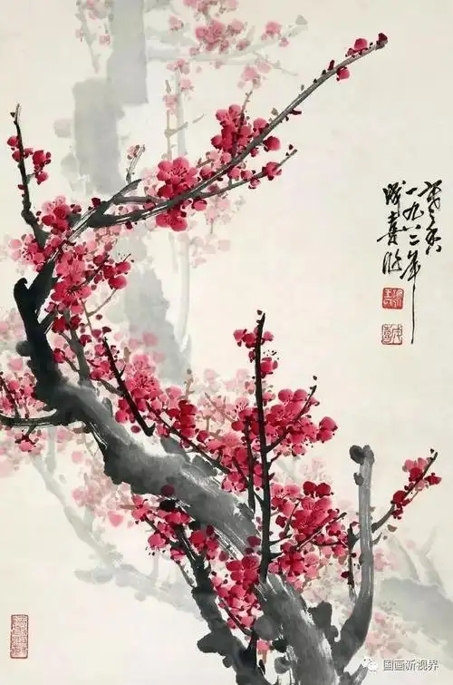 一组赏心悦目的梅花图!