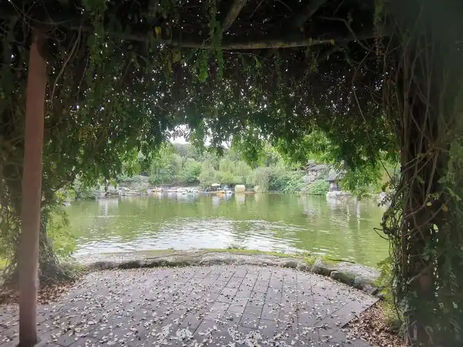 绵阳西山玉女湖,百年紫藤自成荫