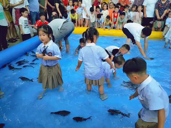 消夏ing捉鱼活动湾景小哈佛幼儿园