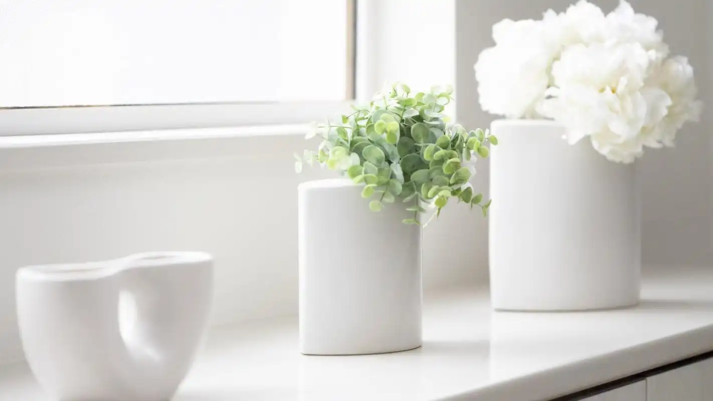 绿色护眼盆栽植物高清桌面壁纸