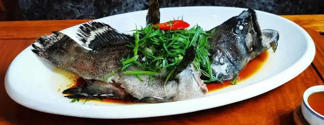 清蒸老虎斑水鱼焖鲍鱼白灼竹节虾蒜粉蒸大元贝爽皮鸡咸骨煲淋萝卜白灼