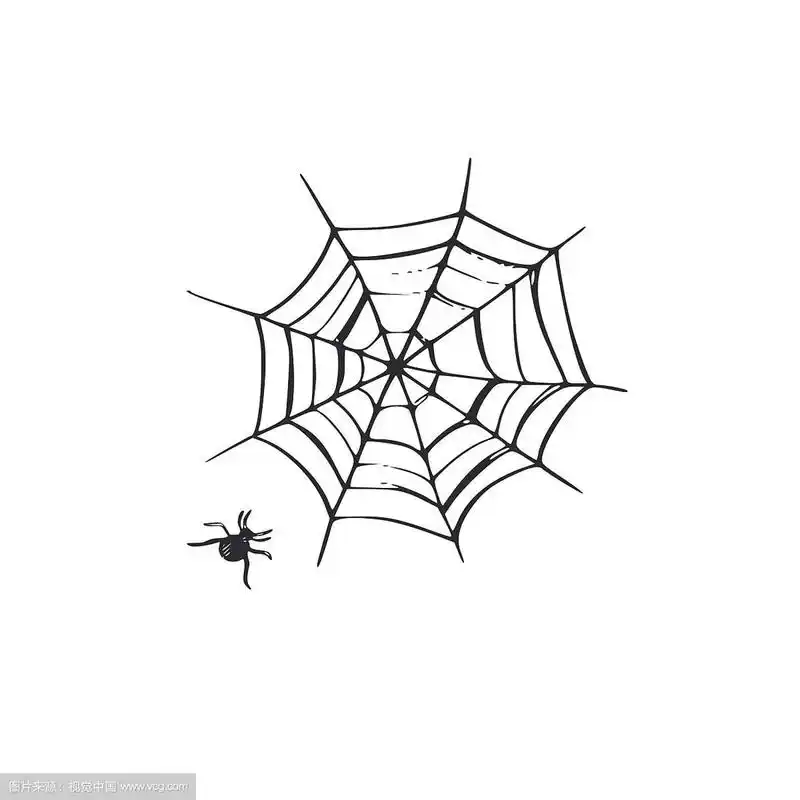 蜘蛛网手绘卡通