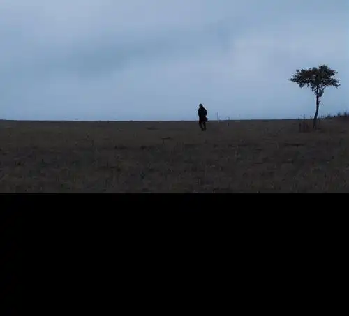 寒风吹彻 【文】刘亮程