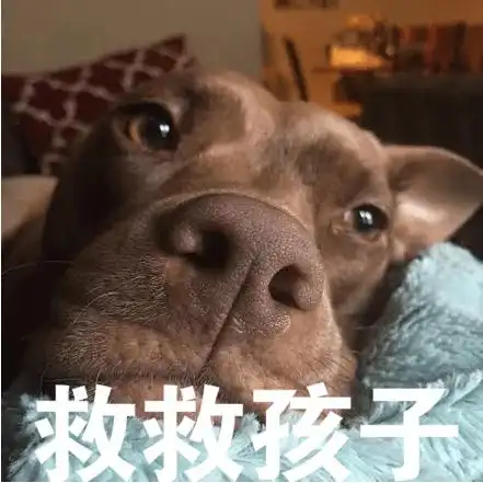 救救孩子吧是什么梗啥意思 出处与救救孩子表情包图片