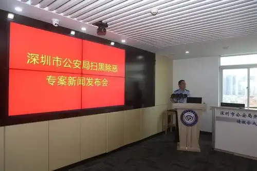 深圳横岗一带开设多家歌舞娱乐场所经初步侦查发现了一个以李某龙为首