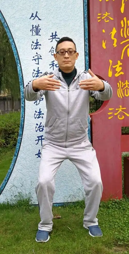 不如一站/记张善国学习站桩的经历/桩功揭秘        一,动手即合太极