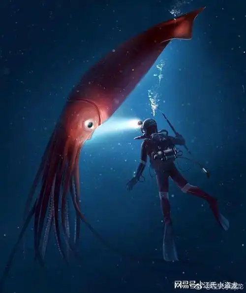 大王乌贼真的是体长30米的超级海怪