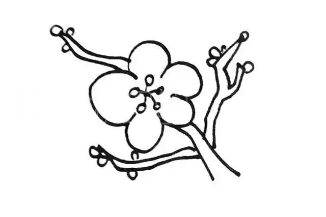 腊梅花简笔画的画法步骤图解教程