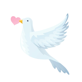 卡通手绘鸽子