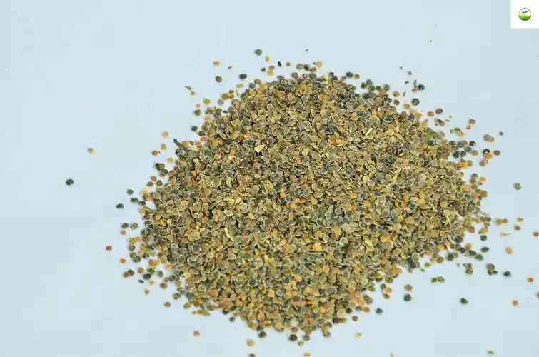 厂家直销花卉黄紫罗兰种紫罗兰籽品种齐全量大优惠可以货到付款